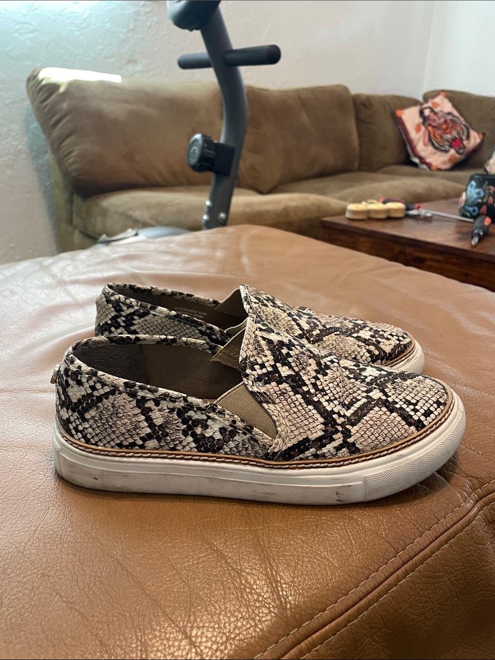 Steve Madden Snake-Print Slip-On Sneakers in Black and Cream